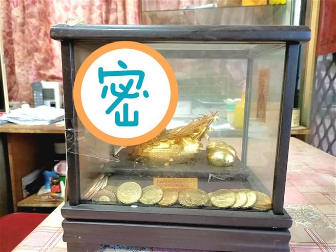 近日一位民眾却发现家中金鸡母遭一只「米奇」闯入，罕见的画面曝光后，网友更建议原PO直接收编。(摘自爆废1公社)