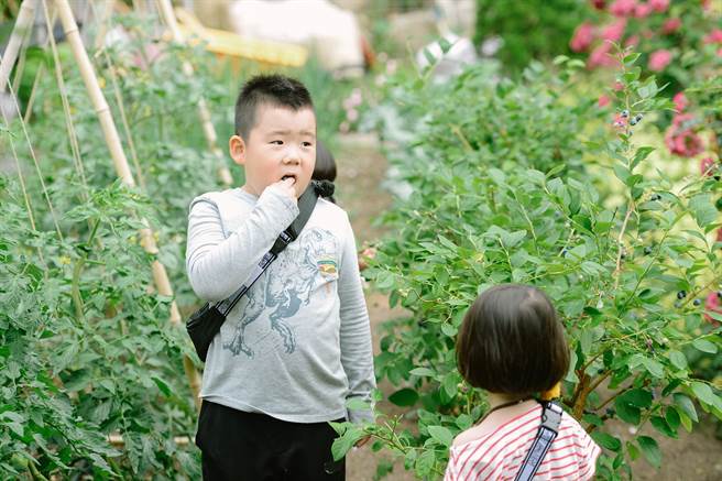 《小森林》牙齿松动的利韩 恐惧眼神藏不住。(图／中天娱乐台提供)