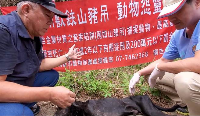 台湾动物紧急救援小组救援团队到六龟营救一只重伤的浪浪，令人遗憾的是，流浪狗已经伤重死亡。（台湾动物紧急救援小组提供／林瑞益高雄传真）