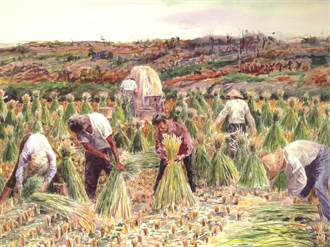 公館鄉農會再現農村景象 將推擠福菜、紮稻草體驗