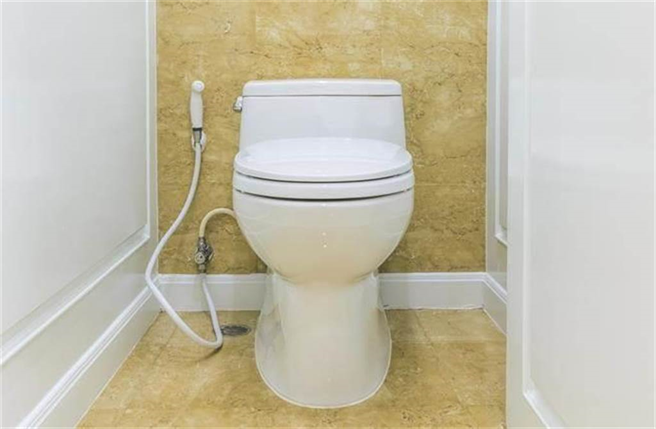 不是洗厕所？马桶旁喷枪真实用途，网惊：误会好多年！(示意图/达志影像)
