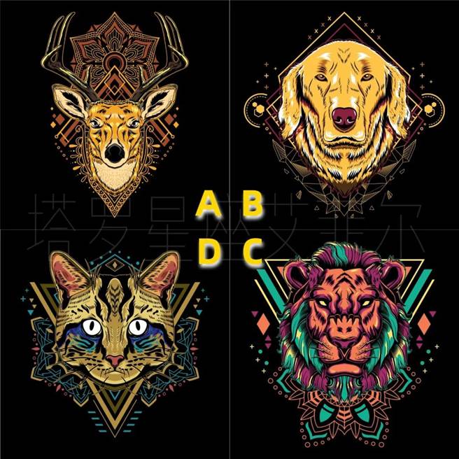 選出一張你最喜歡的動物牌，就可以分析2021前誰是你的幸運星。（圖／FB@塔羅牌老師艾菲爾）