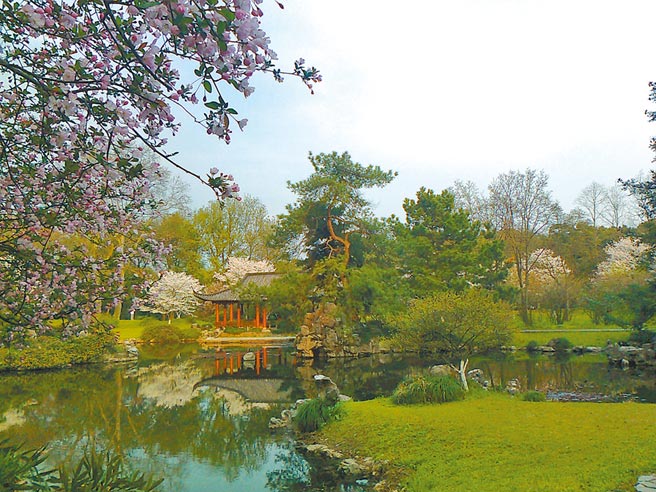 春天的植物园，杭州。（作者提供）
