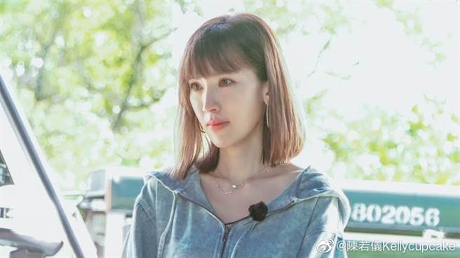 陈若仪曾哭诉当林志颖妻子压力很大。（图／微博@陈若仪）