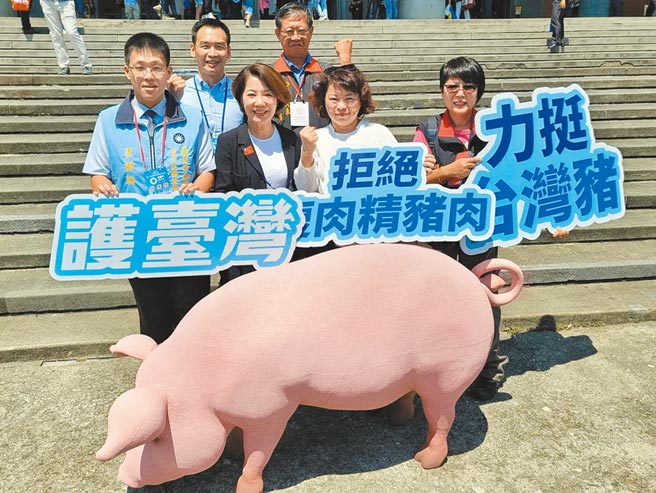 嘉義市議會藍營議員17日再針對萊豬爭議質詢，會中市長黃敏惠重申會嚴格把關立場。（鄭光宏提供／呂妍庭嘉義傳真）