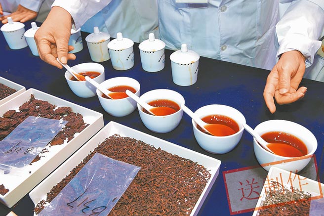 茶王爭霸賽中不同的六堡茶品種。（《南國早報》提供）