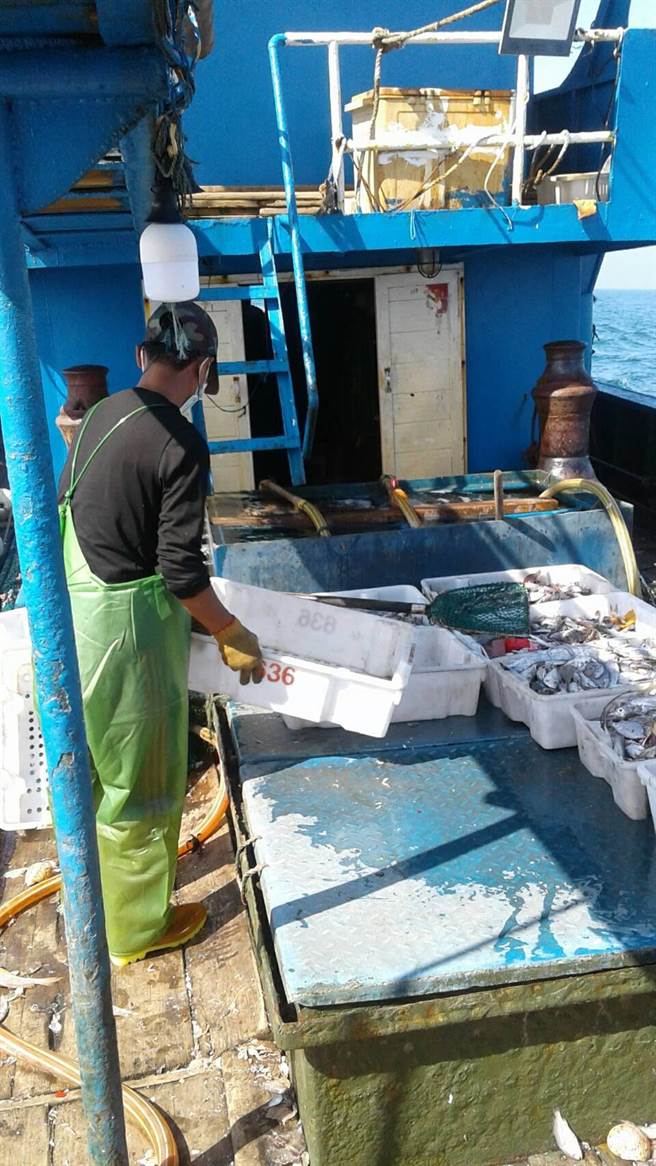 大陸漁船越界捕魚，查獲漁獲1000公斤並帶回6人偵辦。（台中海巡隊提供／陳淑娥台中傳真）