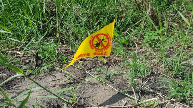新北建案落实红火蚁防治，保障新居落成民眾安全住。(新北农业局提供)