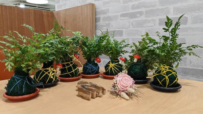 为迎接欢乐耶诞节，新北市板桥区公所将于12月5日下午2至5时在板桥花市举办「2020板桥花市圣诞同乐会」活动。（板桥区公所提供）