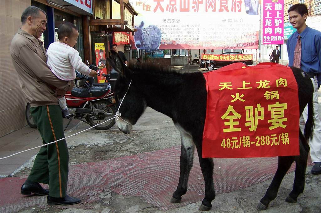 廣西南寧市一家驢肉食府火鍋店大打「天上龍肉，地上驢肉」等廣告語，並將一頭驢牽到街邊，為之披上「廣告衫」，以吸引食客。（中新社資料照片）
