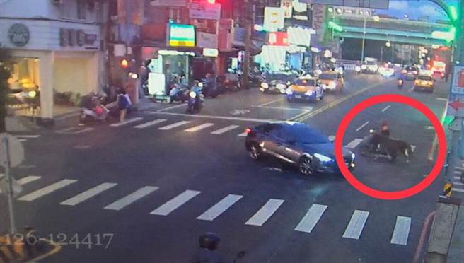 某馬場飼主昨（25日）騎機車利用牽繩帶著馬前往新北市動保處接種，路人見狀相當吃驚。（翻攝）