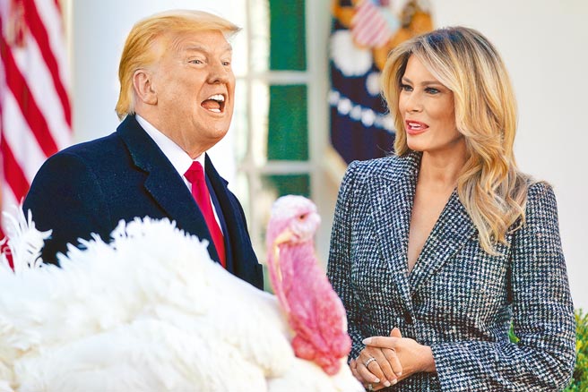 大选后鲜少公开露面，几近半神隐的川普，24日偕第一夫人梅兰妮亚，在白宫玫瑰园主持传统的感恩节特赦火鸡仪式，让火鸡得以在农场颐养天年，逃过祭人类五臟庙的命运。（美联社）