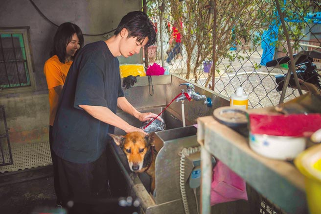 许光汉南下至屏东亲自照护流浪毛小孩。（爱最大慈善光协会提供）