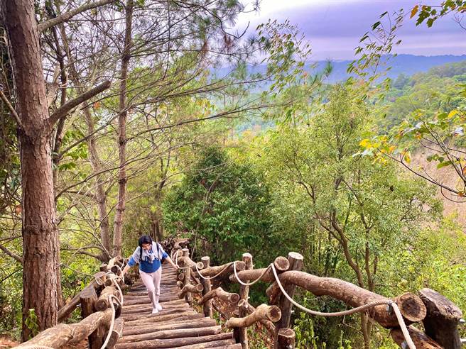 大坑3号步道海拔介于415至795公尺，大多行经山棱线上，风景秀丽。（台中市观旅局提供／王文吉台中传真）