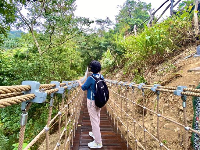 大坑3号步道整修工程完工，全新打造吊桥吸引民眾拍照打卡。（台中市观旅局提供／王文吉台中传真）