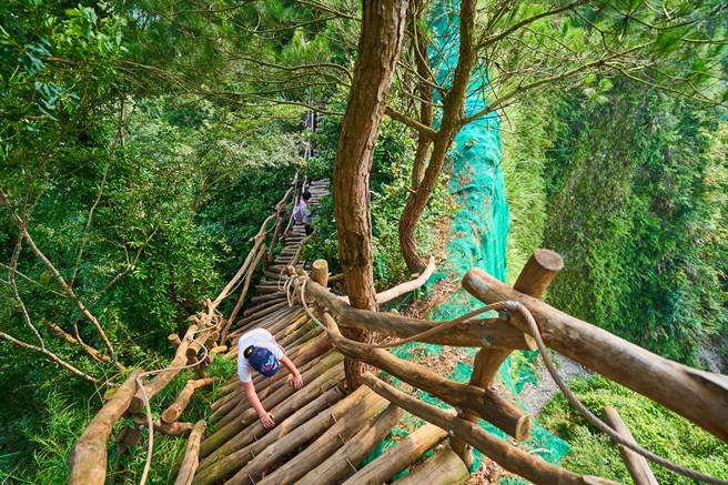 大坑3号步道海拔介于415至795公尺，大多行经山棱线上，登山民眾非常喜爱。（台中市观旅局提供／王文吉台中传真）