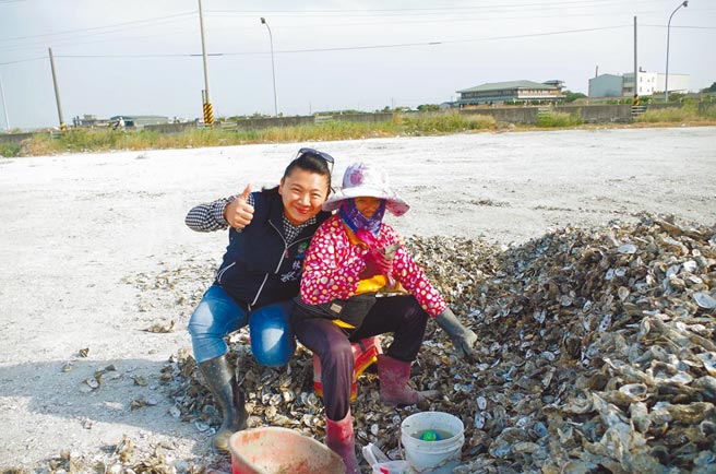 现任东石乡长林佳莹（左）登记参选嘉义区渔会总干事，希望能为渔民争取更好的福利。（摘自林佳莹脸书／张毓翎嘉义传真）