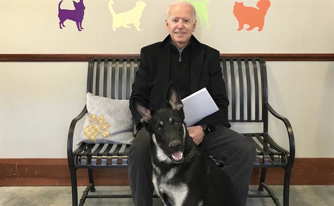 美国总统当选人拜登2018年11月16日在德拉瓦州人道协会（Delaware Humane Association），和当时刚领养的德国牧羊犬「少校」合照。（美联社）