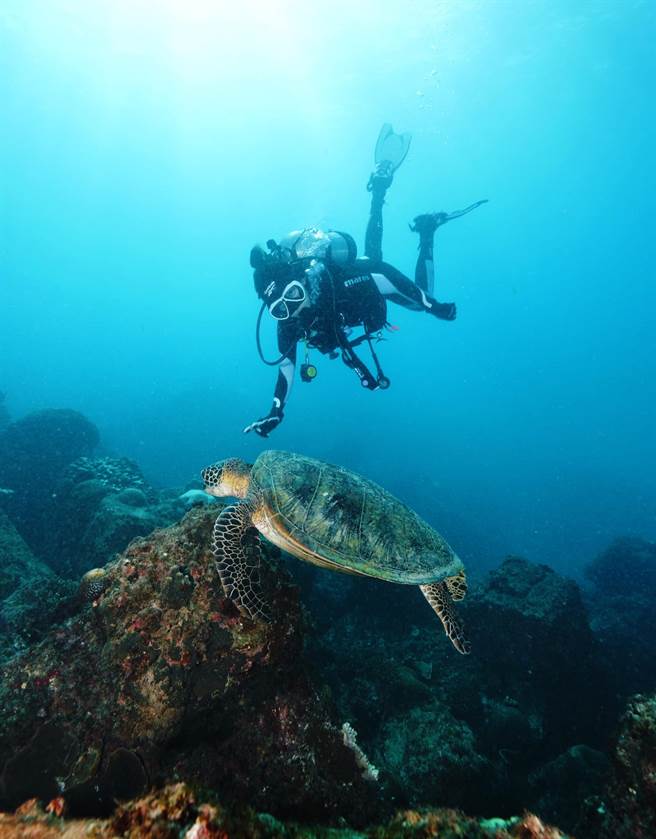 潘慧如热爱潜水。（图／FB@潘慧如）