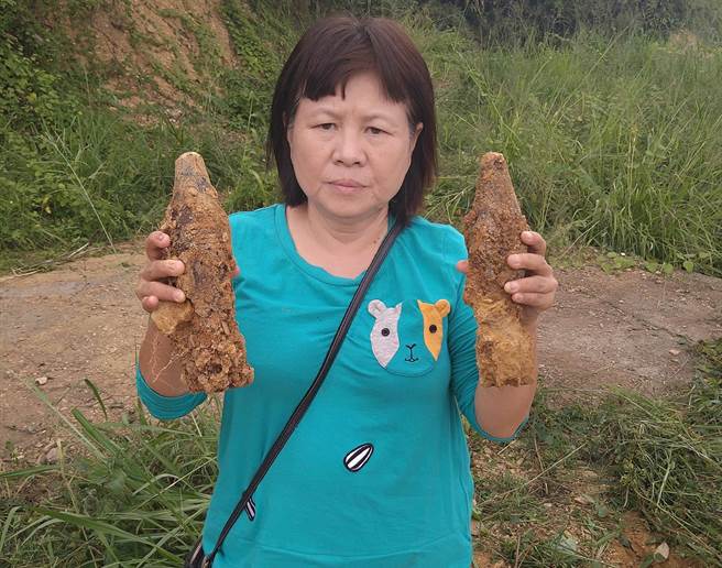 蒋月惠抗议高举两颗迫击炮弹，民眾吓得差点喷尿急闪避。(翻摄自蒋月惠脸书)