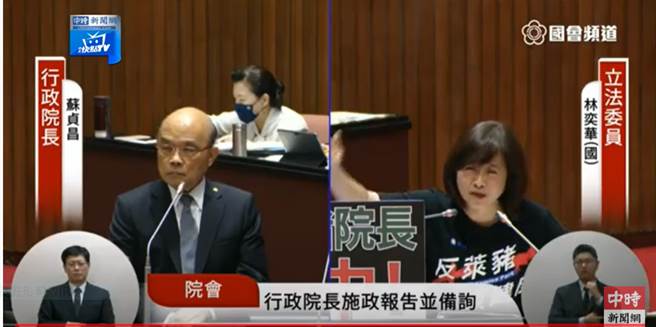 林奕華質詢蘇貞昌。(圖 取自中時新聞網youtube直播畫面)