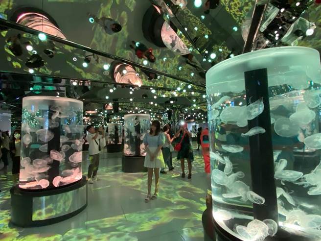 全台第一座都会型水生公园Xpark可以加购形式，享优惠票更能「保证入园」。(蔡依珍摄)