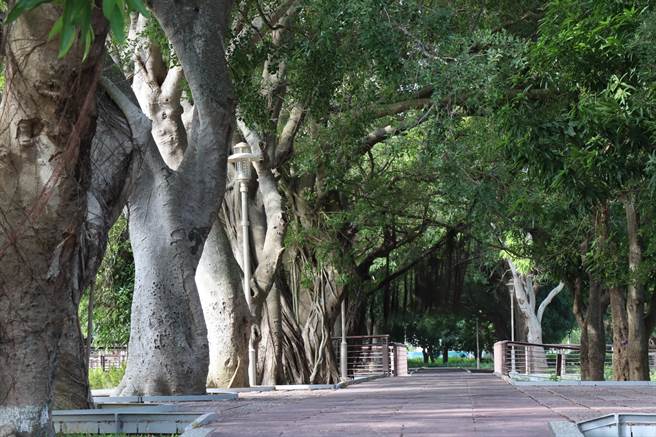 台南市府观光旅游局12、13日将于新营长胜营区举办「2020亲新好时节」活动，有儿童军事趣味体验、写生比赛、市集展览、艺人表演活动。（刘秀芬摄）