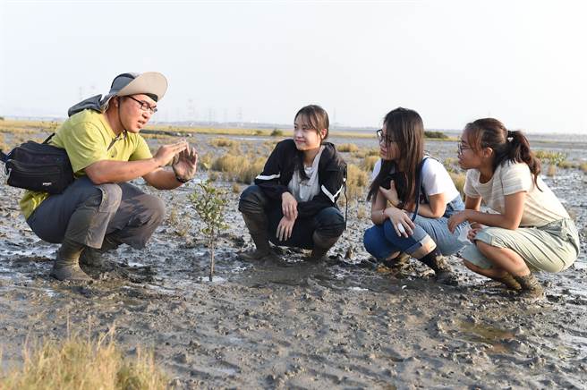 静宜大学透过「大手牵小手」的共学模式，期望培育更多的「公民科学家」，投入湿地保育，为自然生态尽心力，也凝聚对土地的认同！（陈世宗摄）