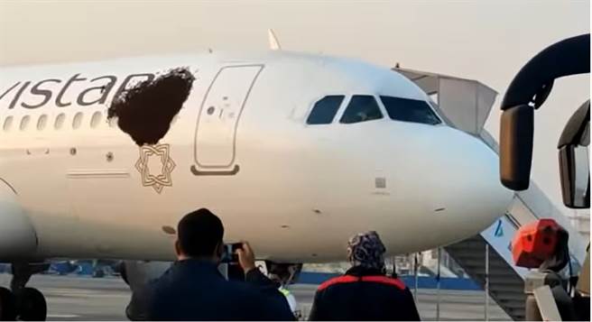 客机上趴满蜜蜂，形成深色斑块，好像飞机破了。(图/加尔各答航空)