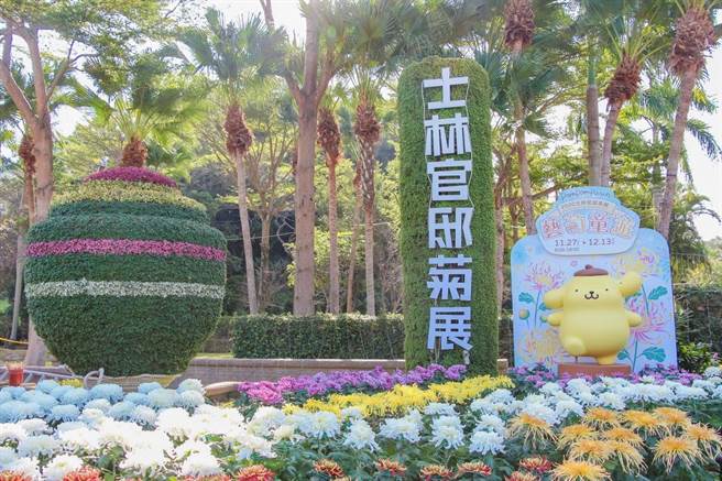 「2020士林官邸菊展–艺菊童游」除展示各式各色的美丽菊花外，也在各展区中，设有各种怀旧童玩。（北市公园处提供／张颖齐台北传真）