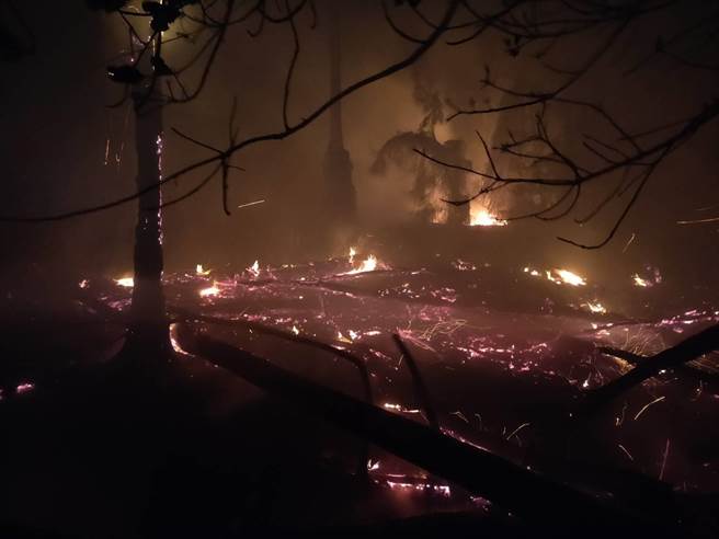 现场估计火烧面积逾500平方公尺，是否有动物遭大火波及，目前情况不明。（民眾提供）