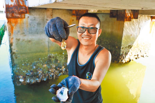 近年国旅型态大改变，深度旅游愈来愈夯，大鹏湾潮口平台的水上业者也跟进转型推出「採蚵」体验行程。（谢佳潾摄）