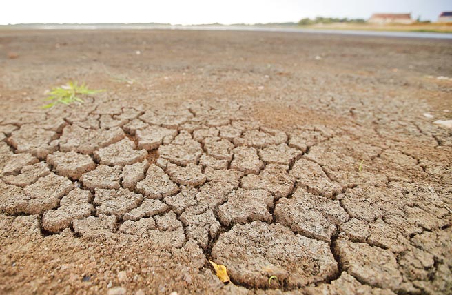 炎热天气造成法国吕萨兰德斯池塘的泥浆乾裂。（路透）