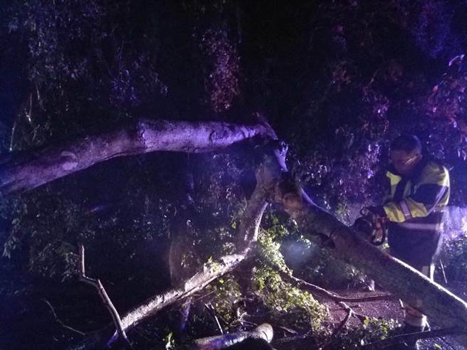 近来豪大雨造成台东长滨乡南溪部落路树倒塌，唯一联外道路中断，樟原派出所所长何顺吉霸气手持电锯排除障碍。（台东县警局提供／蔡旻妤台东传真）