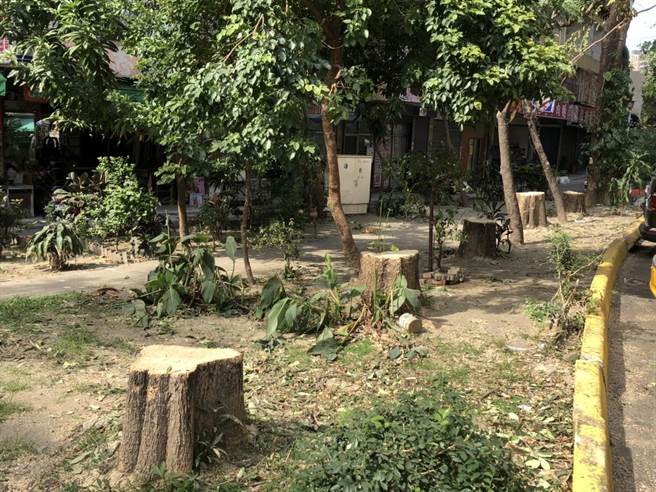 果贸新村公园内的树木有近10棵遭到「腰斩」砍除，遗留下来的树木也被随意修剪，整棵树木光溜溜仅存2、3枝树枝。（洪浩轩摄）