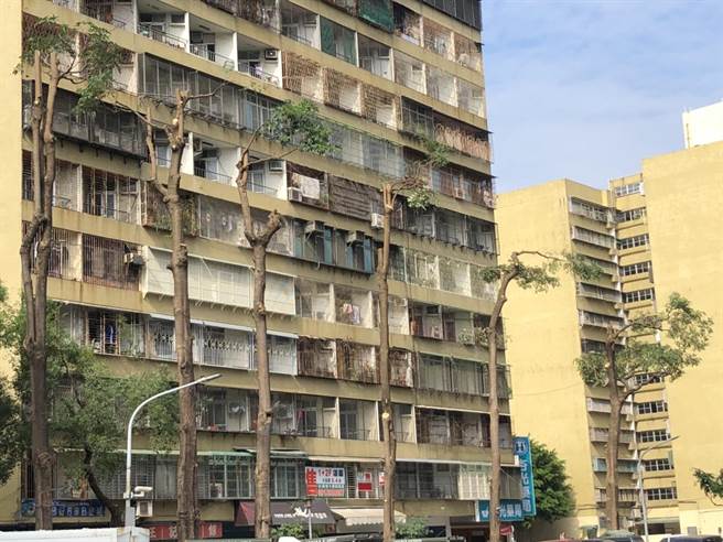 果贸新村公园内的树木有近10棵遭到「腰斩」砍除，遗留下来的树木也被随意修剪，整棵树木光溜溜仅存2、3枝树枝。（洪浩轩摄）