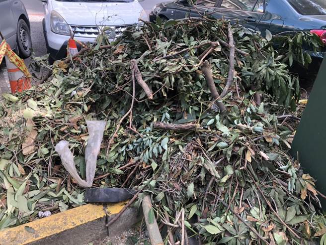 果贸新村公园内的树木有近10棵遭到「腰斩」砍除，遗留下来的树木也被随意修剪，整棵树木光溜溜仅存2、3枝树枝，剪下的树枝在路旁堆积成山。（洪浩轩摄）