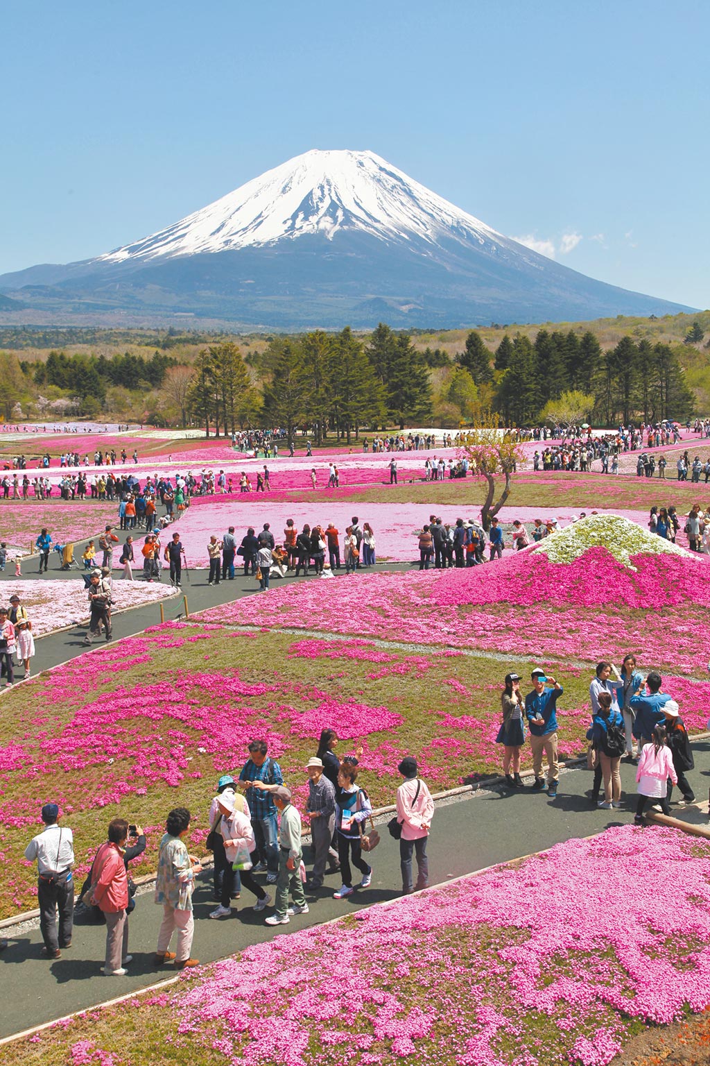 日本媒體報導，為驗證東奧防疫措施的有效性，日本政府考慮明年春季開放亞洲疫情相對穩定地區的小型旅行團，包括台灣和大陸，圖為富士山及其周邊景點。（新華社）
