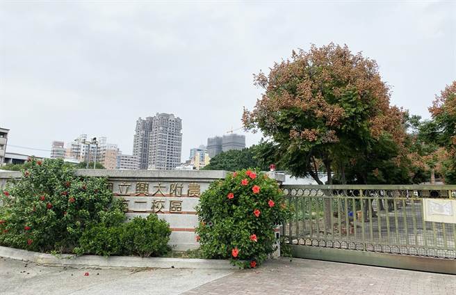 台湾大道与惠中路口原兴大附农校地，市议员李中等请命，如不兴建台中市政府第二办公大楼，应儘速变更地目还地于民。（陈世宗摄）