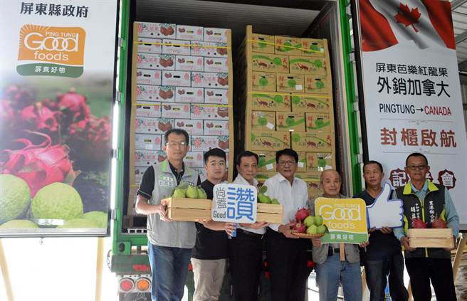 屏东芭乐与红龙果今年首航外销加拿大，8日封柜仪式让农民松了一口气。（林和生摄）