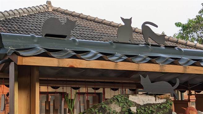 屏東市勝利星村有知名的「貓巷」，巷院間不時有貓咪出沒，也有不少貓造型公共藝術。（潘建志攝）