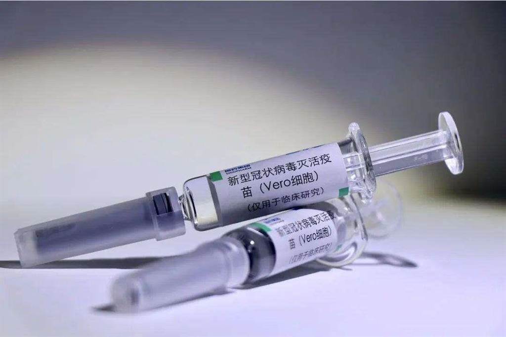 陸製新冠疫苗運抵埃及，成非洲首個獲新冠疫苗國家。（搜狐網）