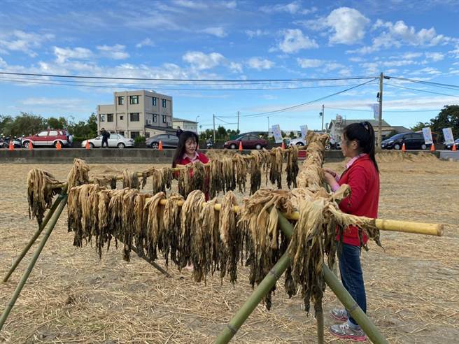 公馆乡农会传承农村文化，呈现冬日晒福菜景象，吸引民眾走入社区、体验农家乐。（公馆乡农会提供／何冠娴苗栗传真）