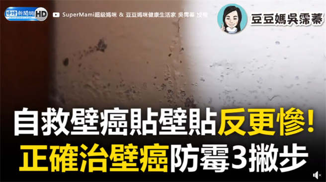 自救壁癌贴壁贴反更惨！正确治壁癌防霉3撇步（图／中时新闻网）