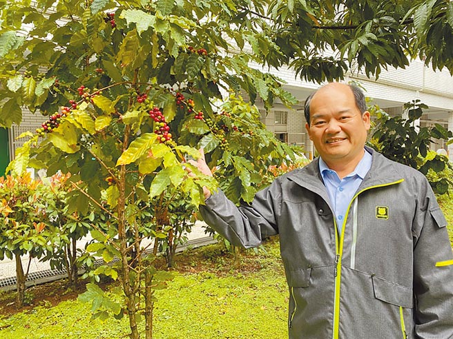 大崗國小種咖啡師生化身小農 地方新聞 中國時報