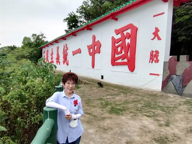 洪秀柱。（摘自洪秀柱脸书）