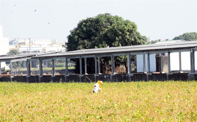 屏东首场圳路型太阳能光电，经过2年沟通，才让农民从反对到赞成。（林和生摄）
