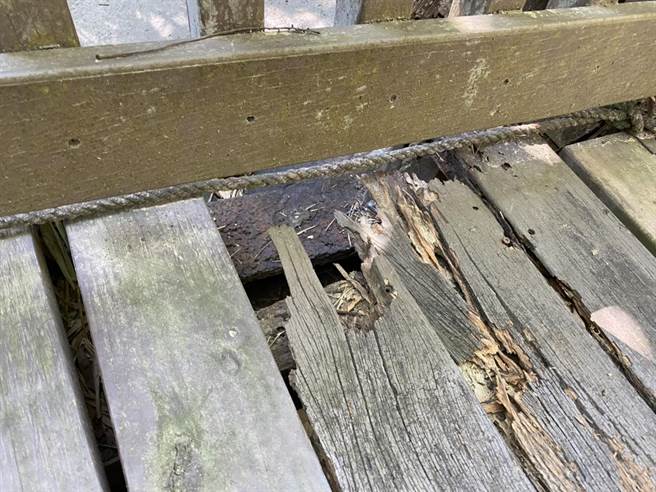 通往彰化一線天祕境的入口處木棧道有多處破損，亟待修繕維護。（謝瓊雲攝）