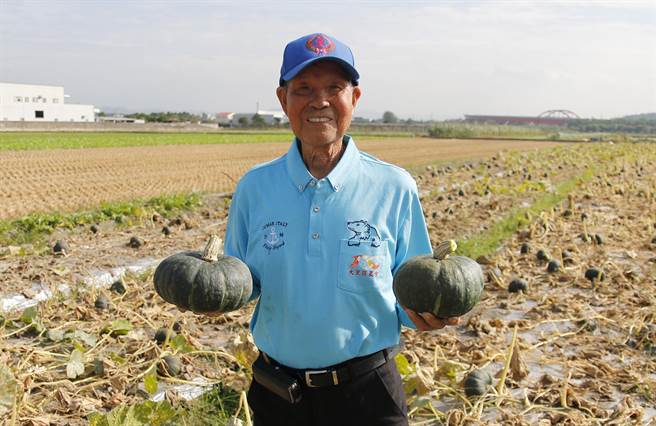 83岁的大里农民黄后守，种植黑海栗南瓜，经过4个月的照顾，今收成，高兴的向大家推荐。（大里农会提供／黄国峰台中传真）