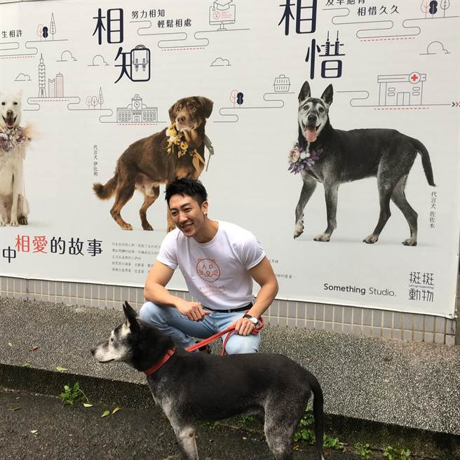 伊林男神张哲伟暖心推荐市民认养臺北市动物之家老狗猫。（北市动保处提供／吴康玮台北传真）